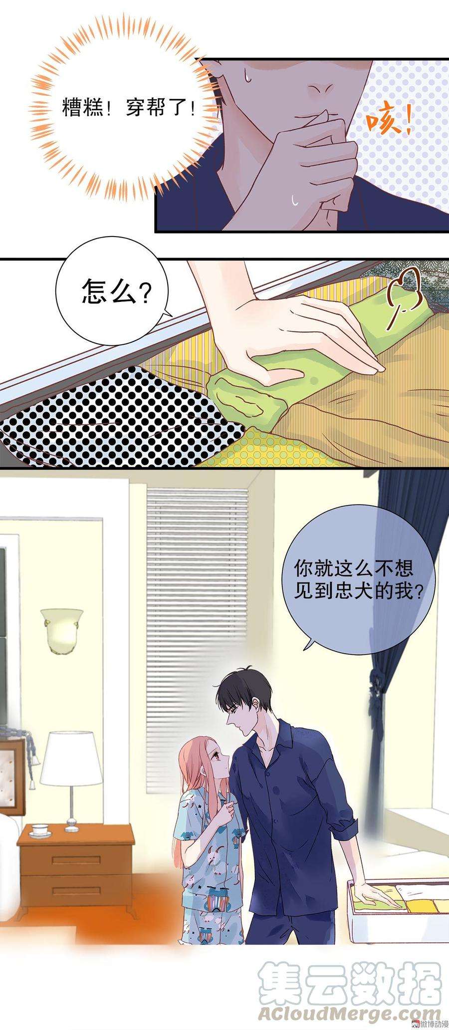11.jpg
