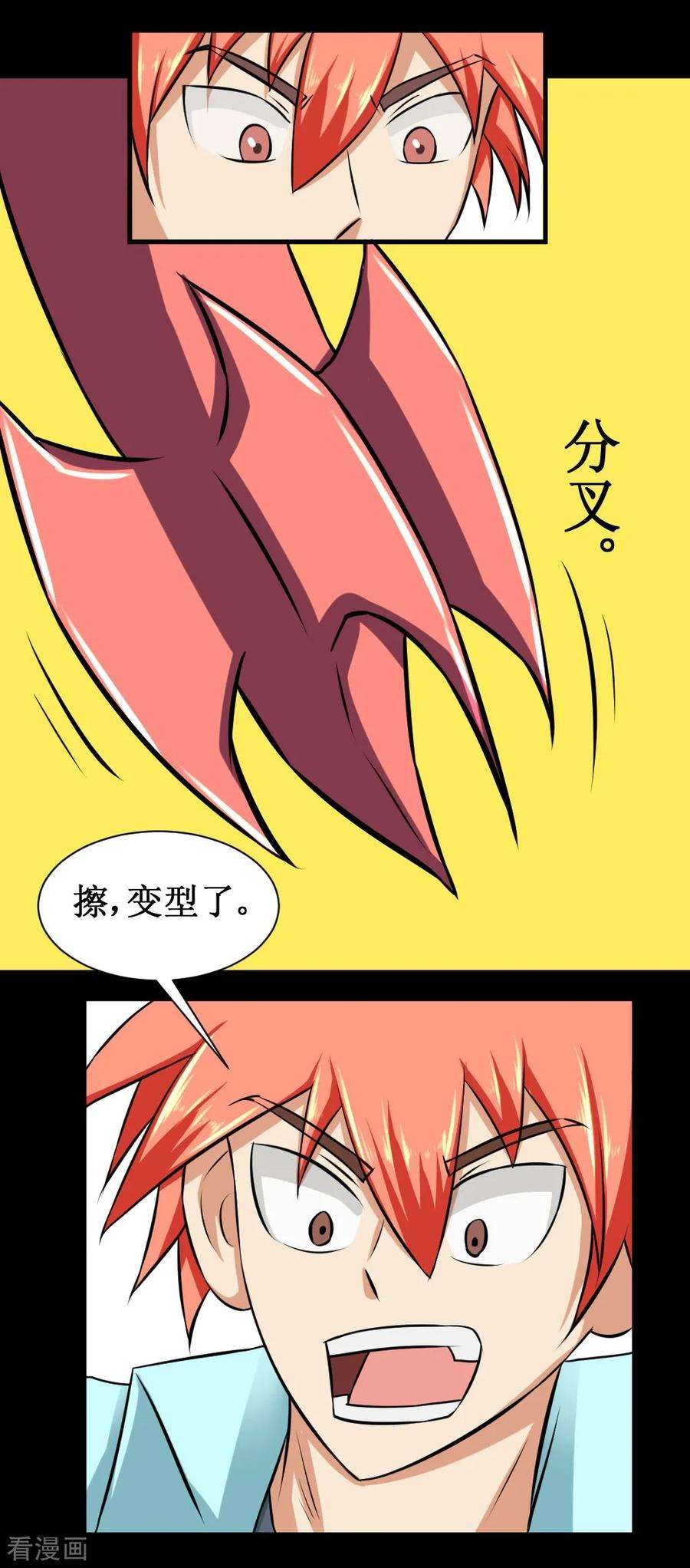 13.jpg