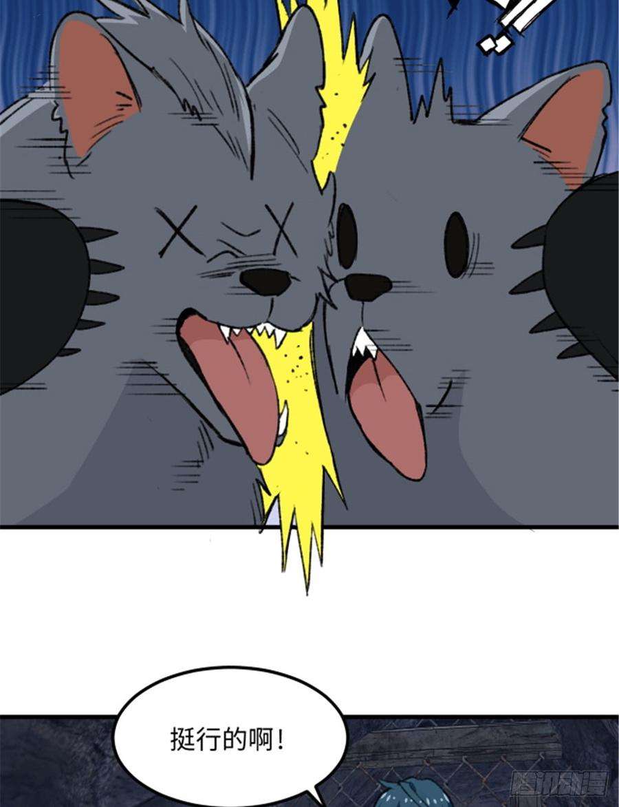 24.jpg