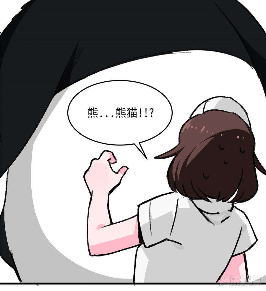 46.jpg