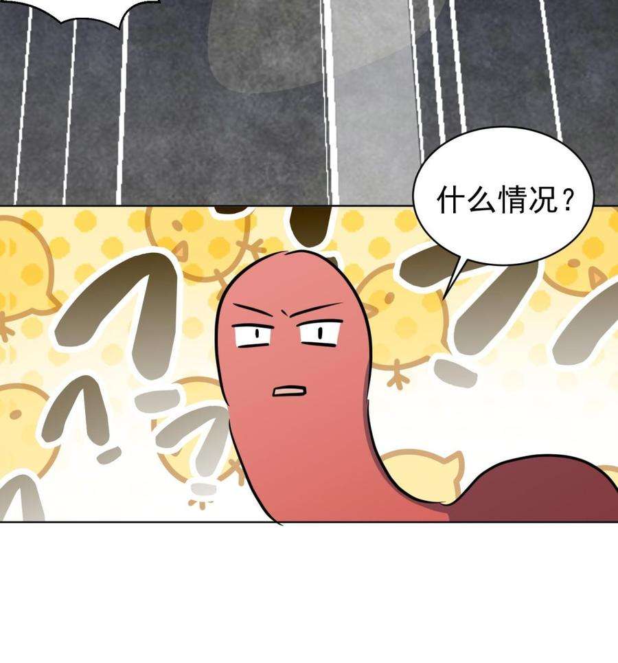 64.jpg
