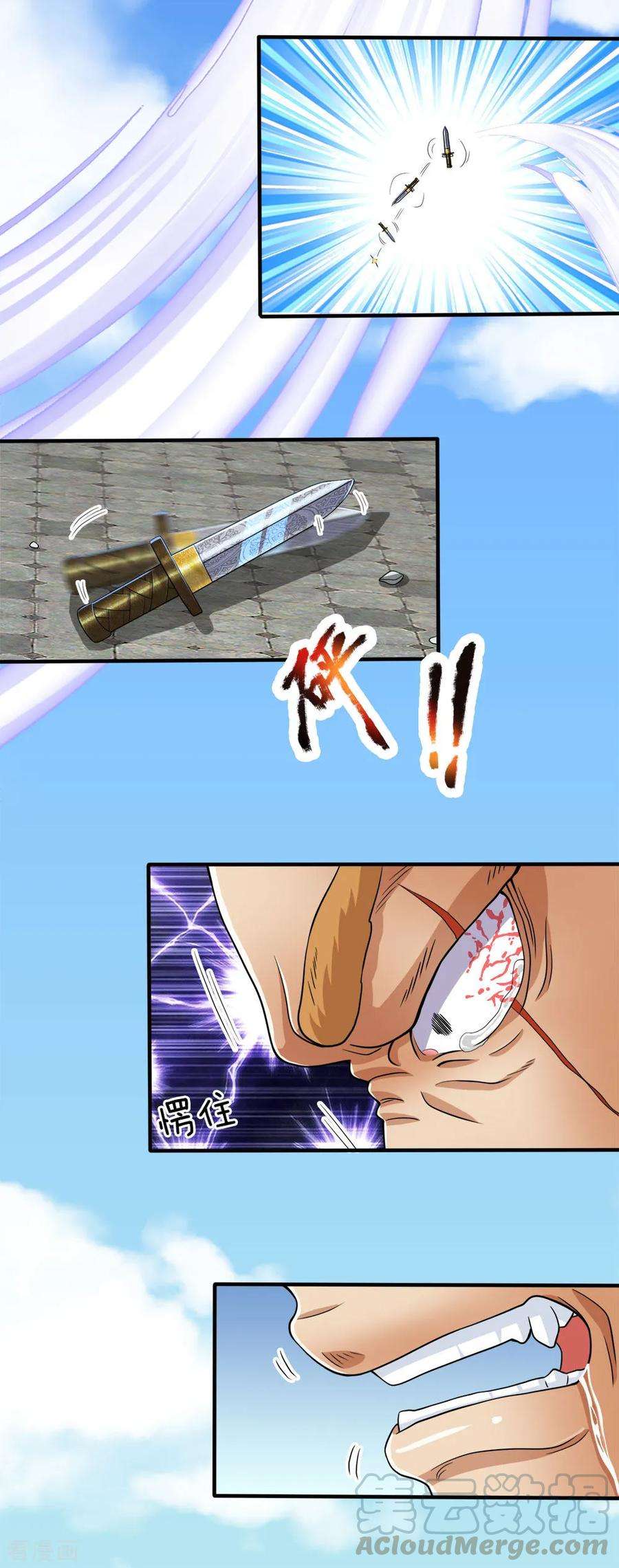 5.jpg