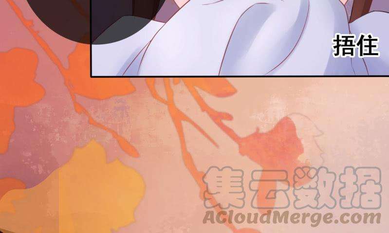 51.jpg