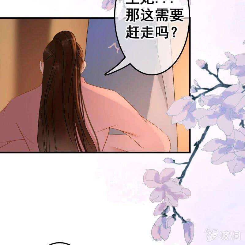 29.jpg