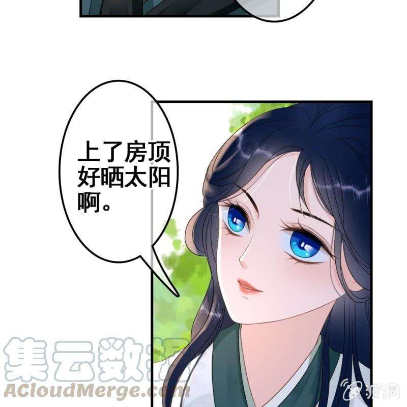 41.jpg