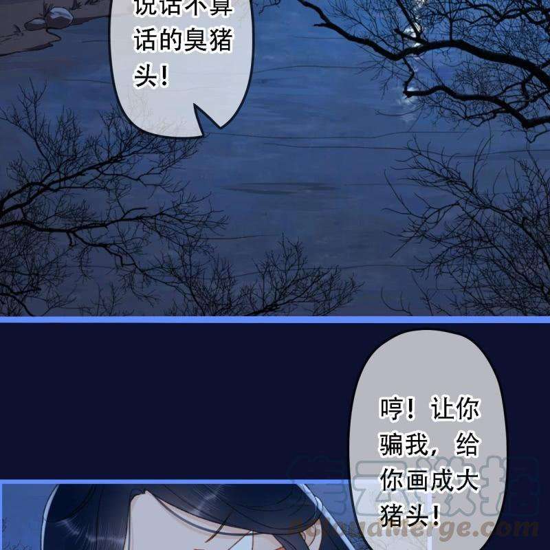 43.jpg