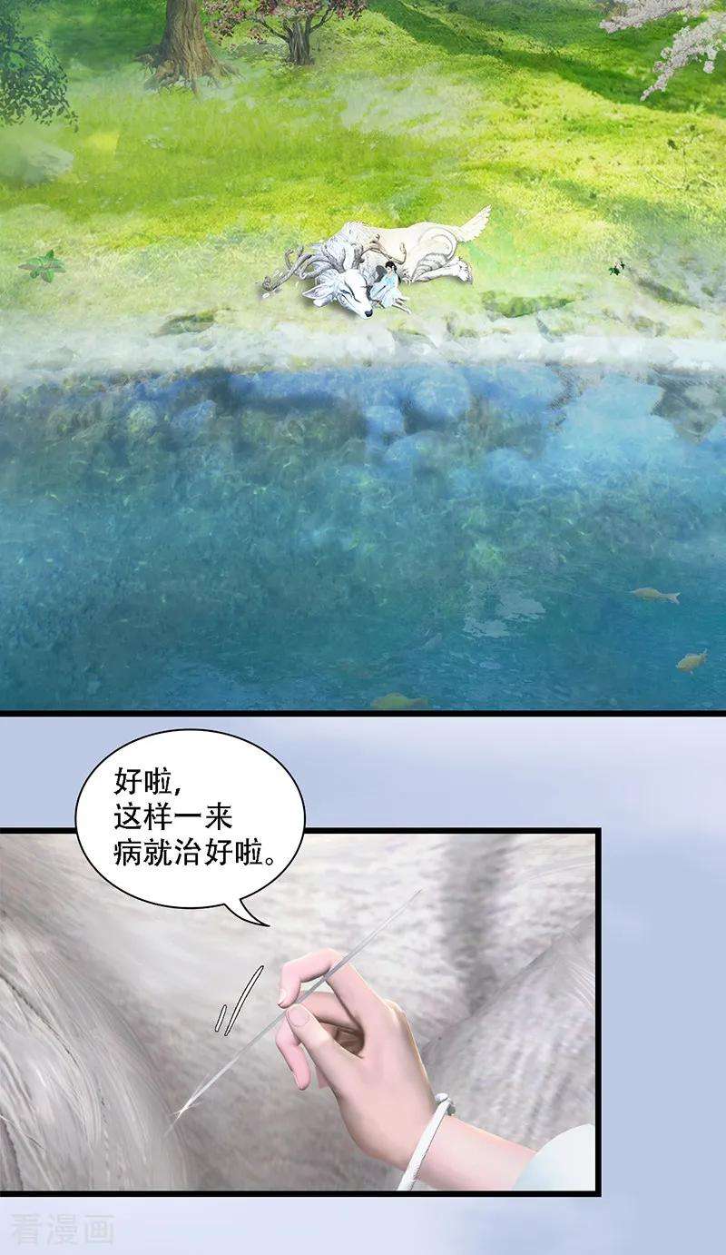 19.jpg
