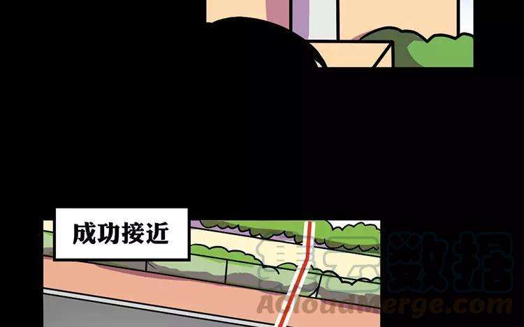 49.jpg
