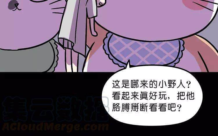 57.jpg