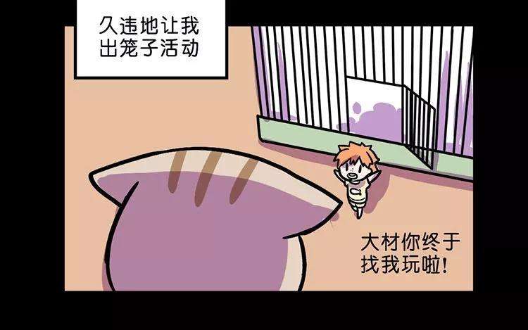 51.jpg
