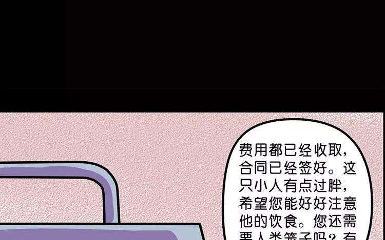 48.jpg