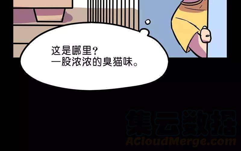 29.jpg