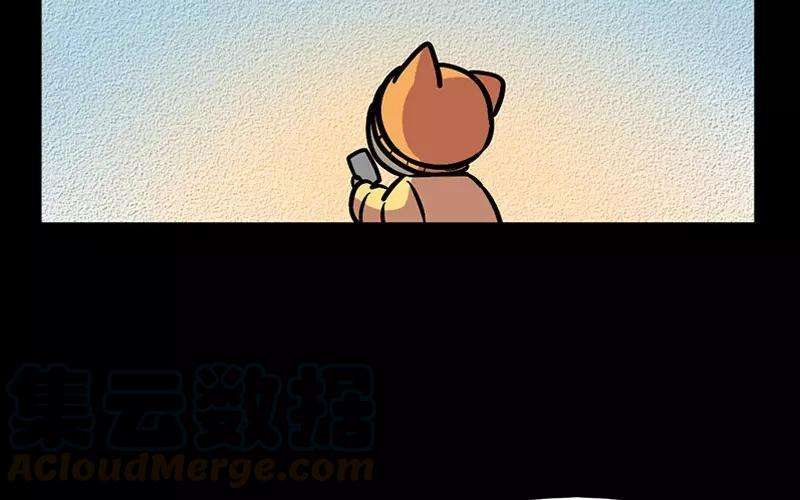 65.jpg
