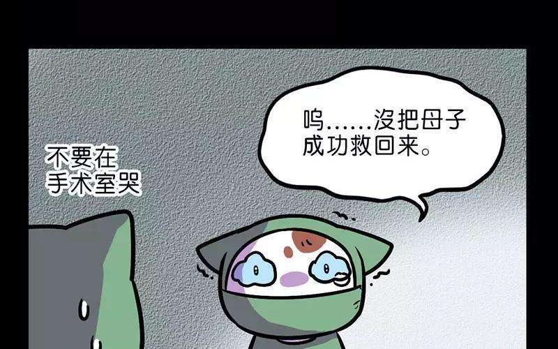 40.jpg