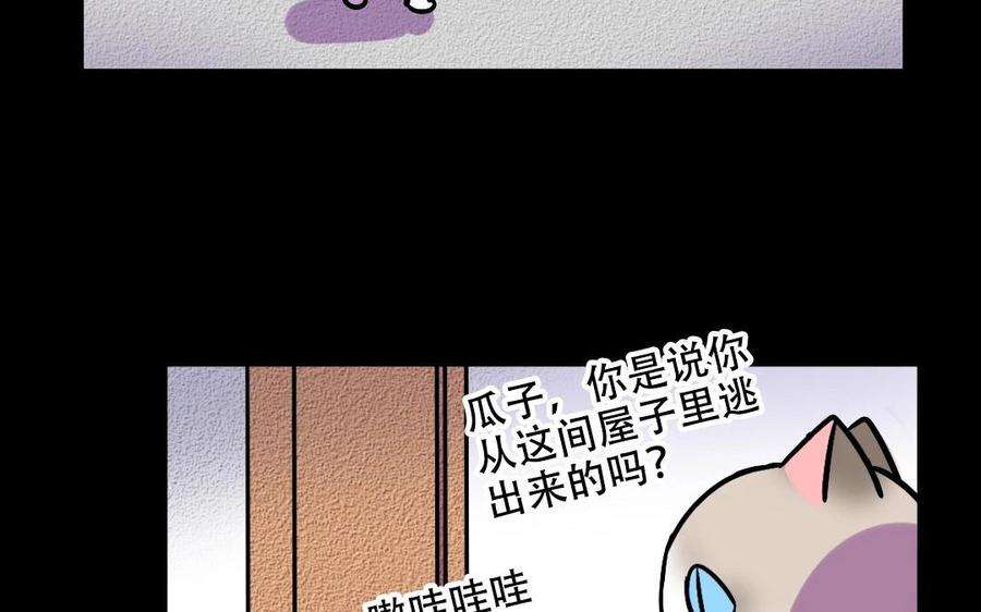 52.jpg