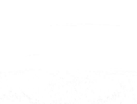 59.jpg
