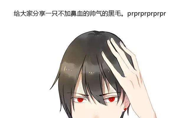 51.jpg