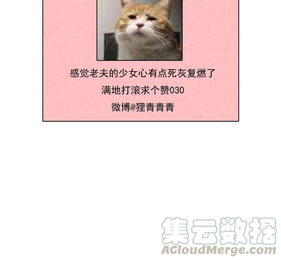 65.jpg