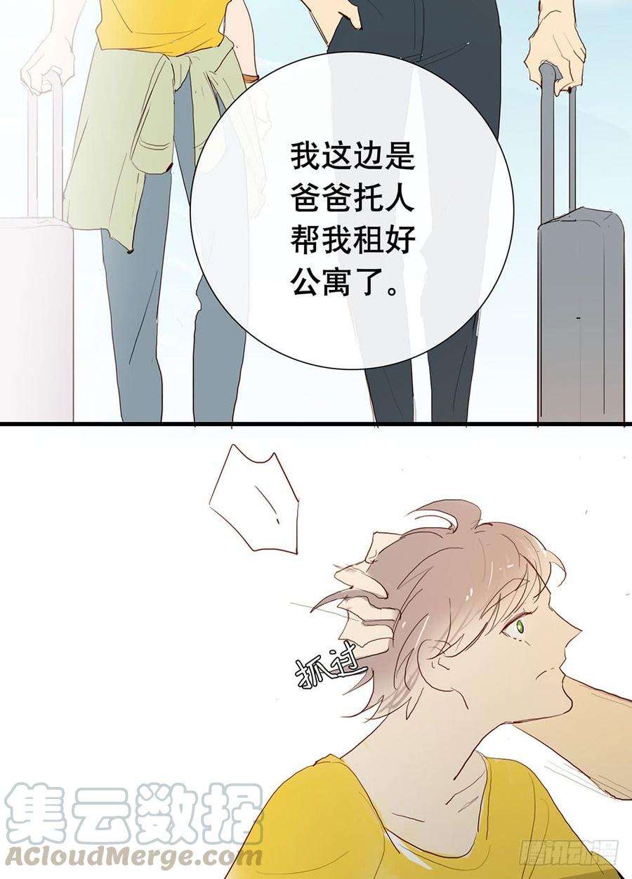 36.jpg