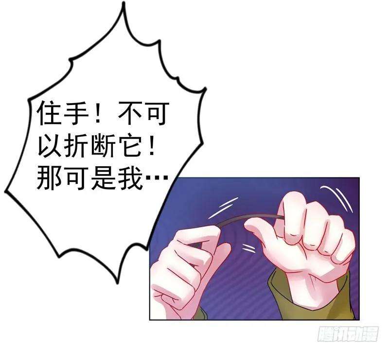 21.jpg