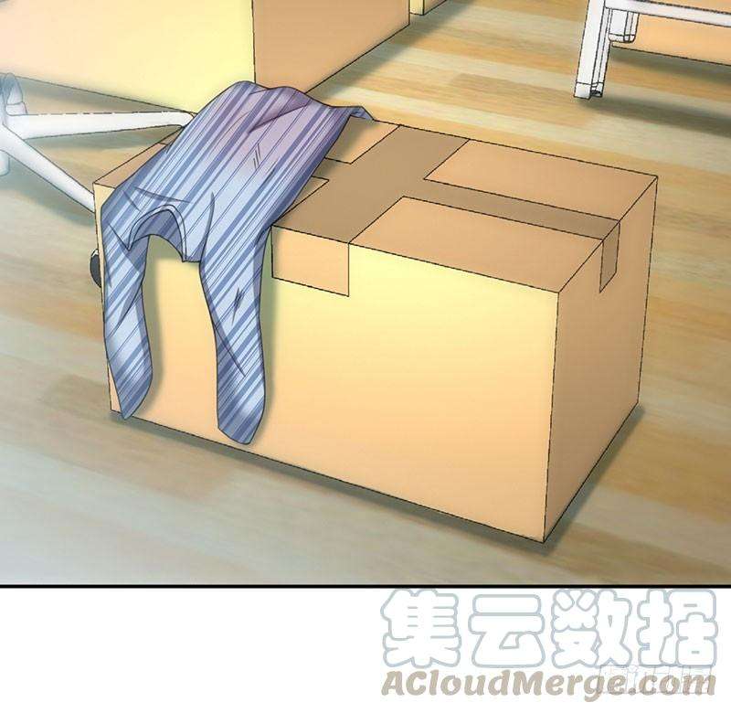 41.jpg