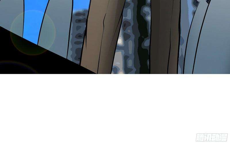 145.jpg