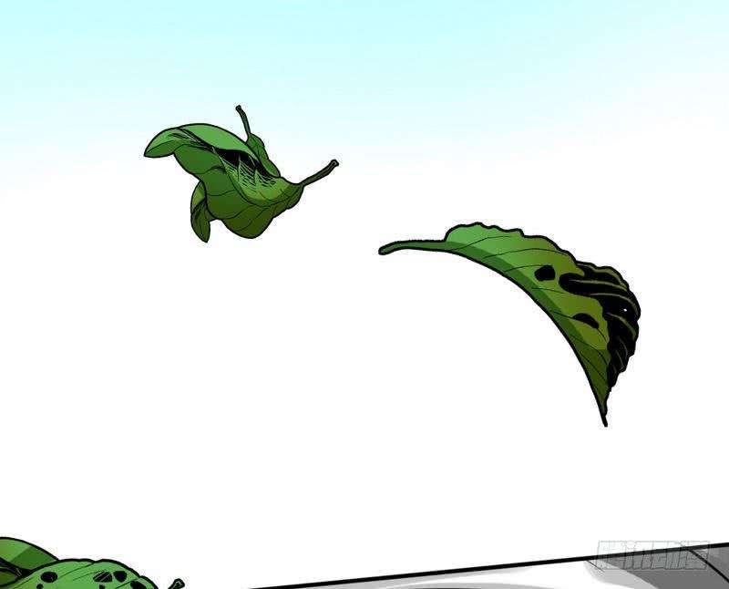 105.jpg