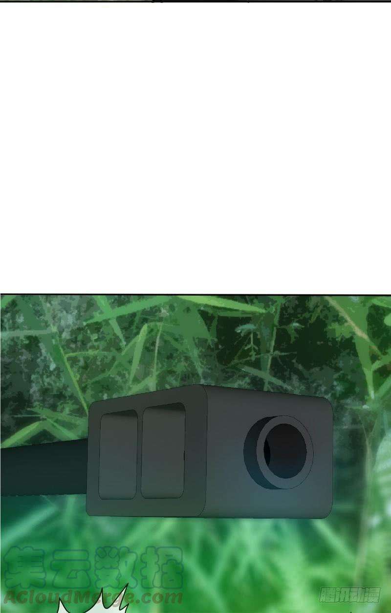41.jpg