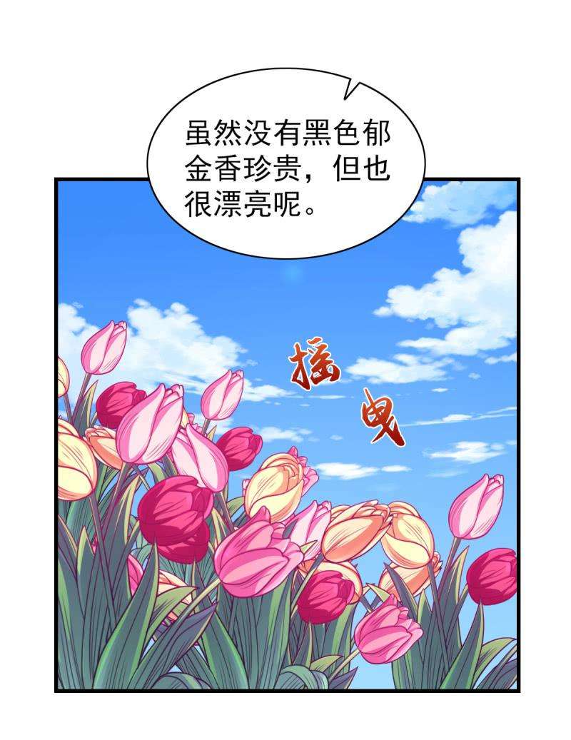 51.jpg