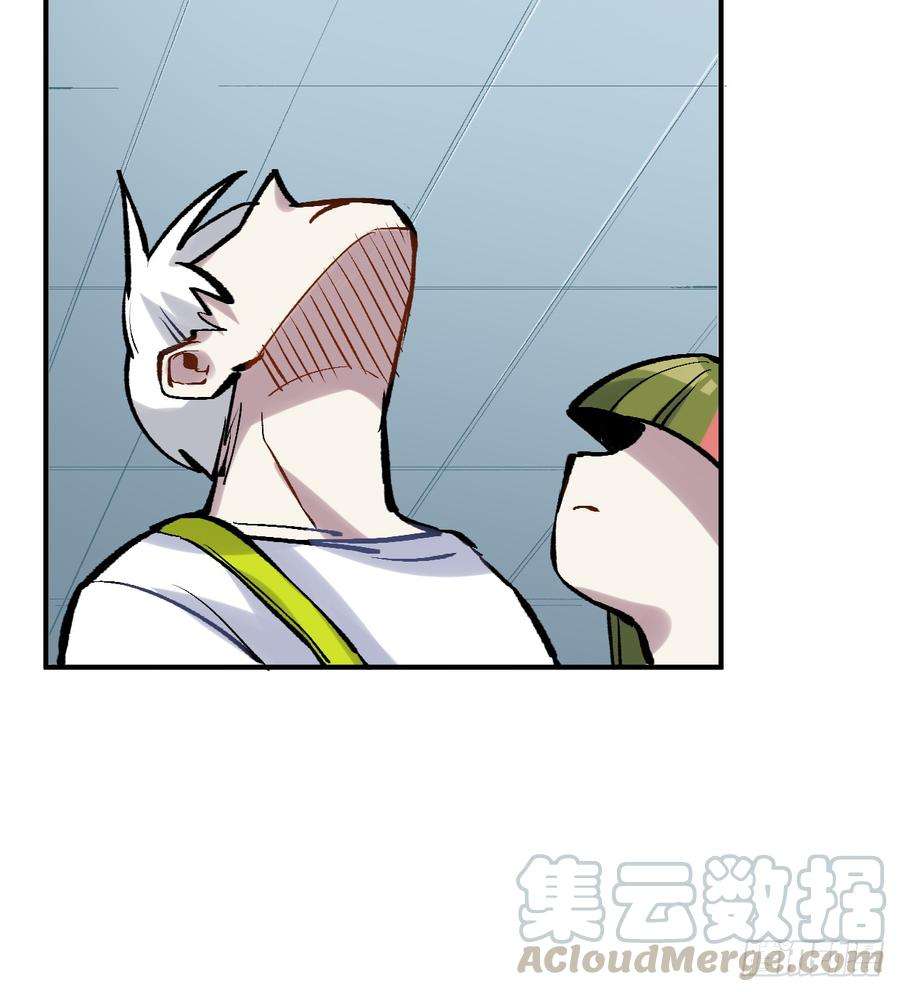 71.jpg