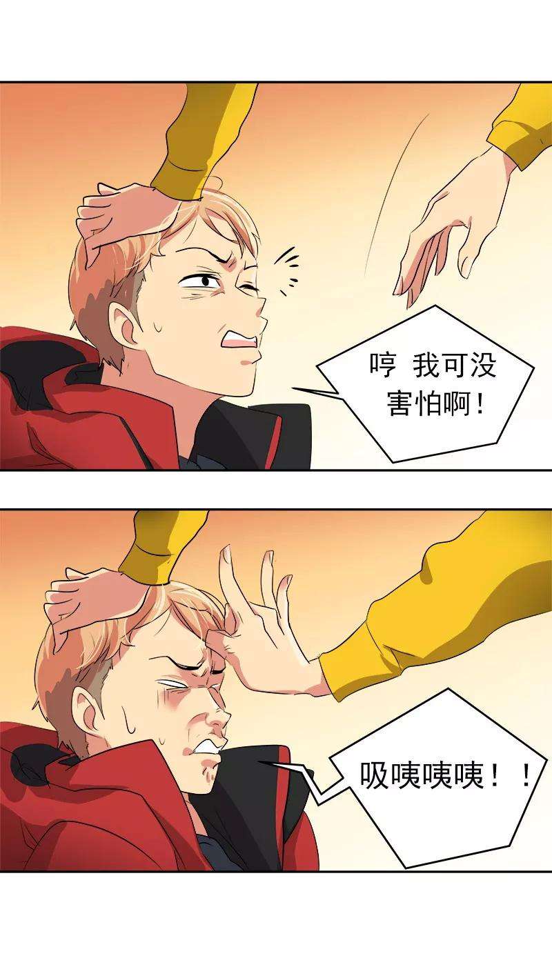 5.jpg