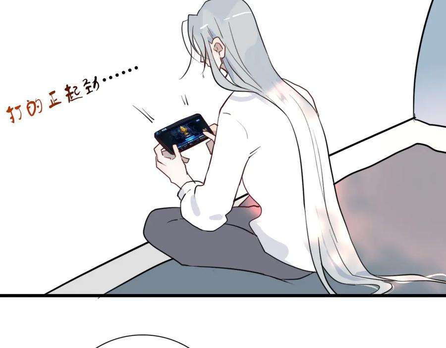 41.jpg