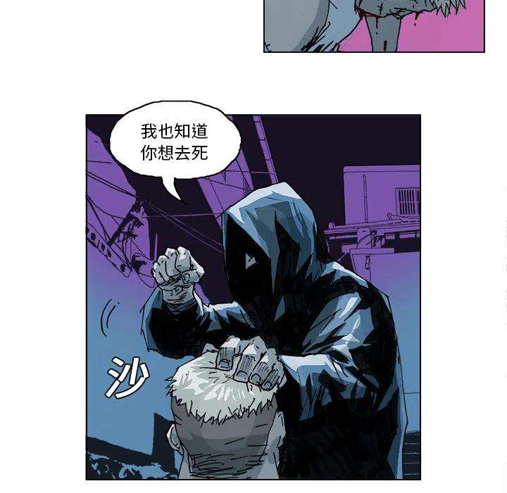 48.jpg