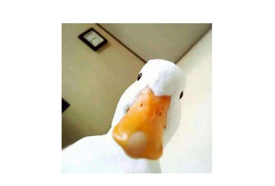 42.jpg