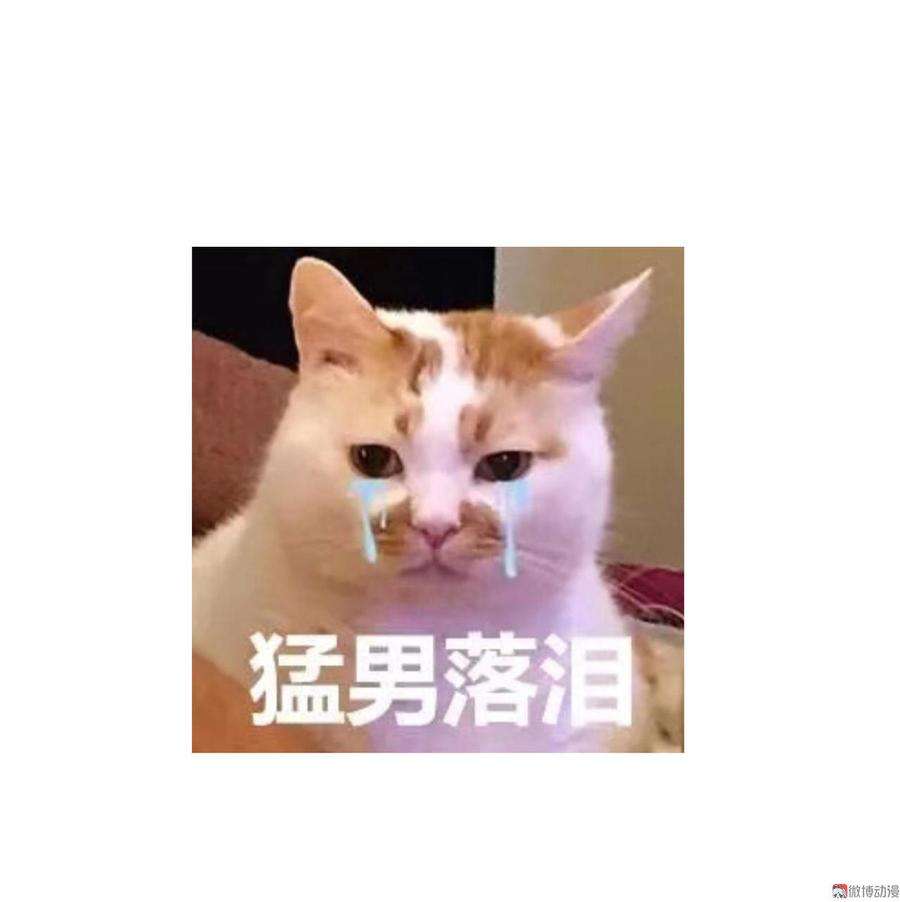 36.jpg
