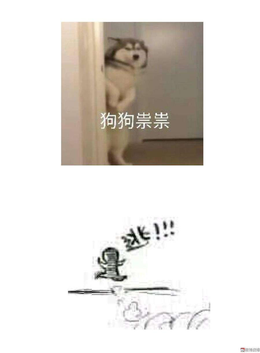 46.jpg