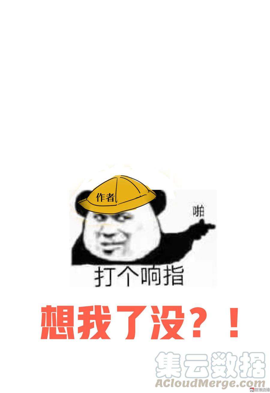 41.jpg