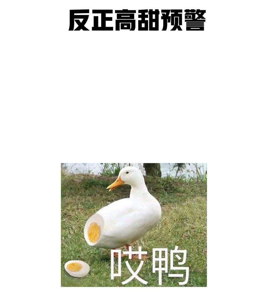 60.jpg