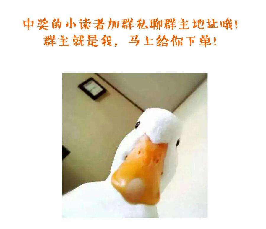 51.jpg