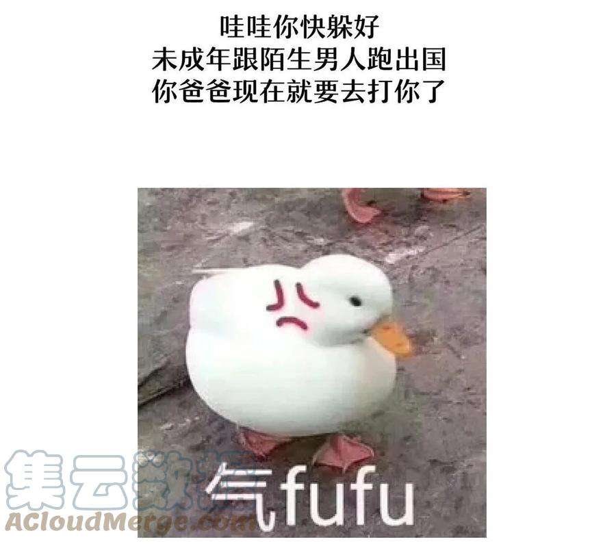 49.jpg
