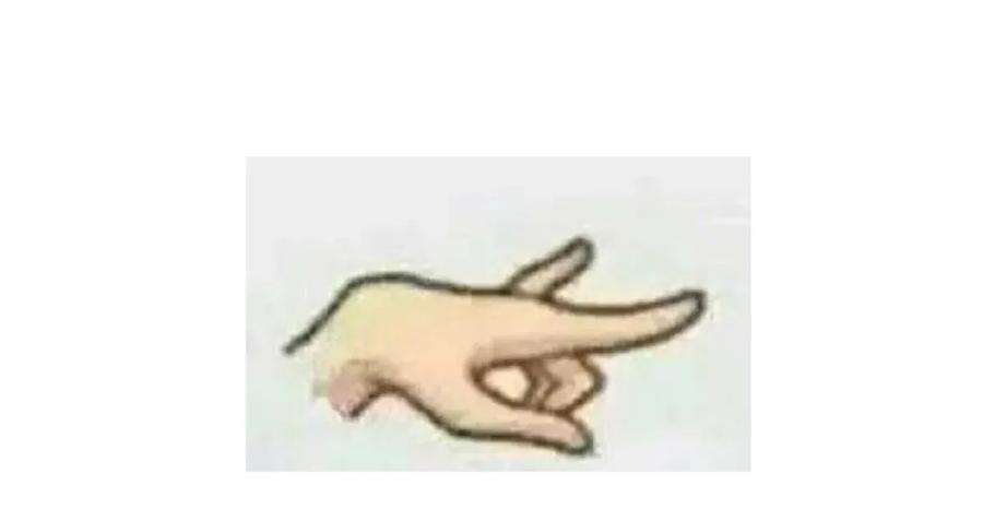 44.jpg