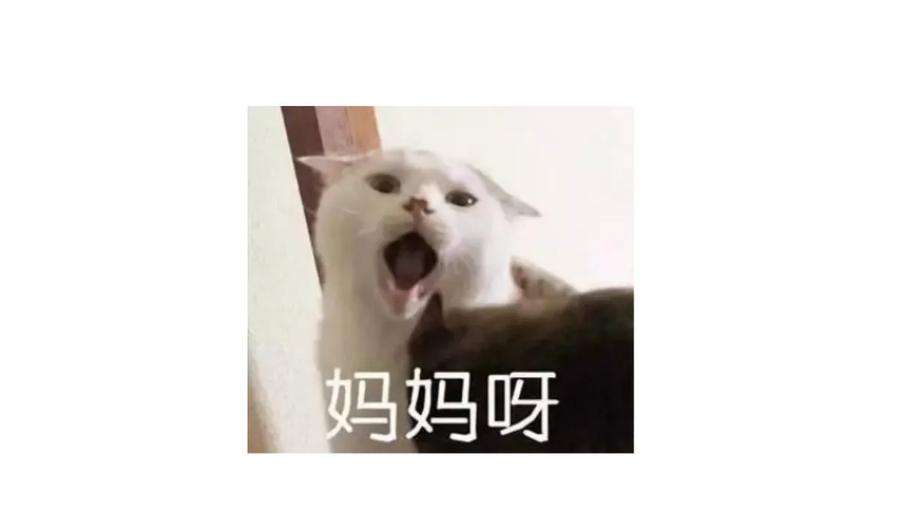 54.jpg
