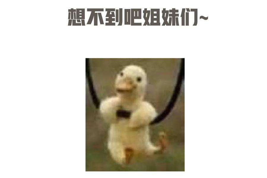 50.jpg