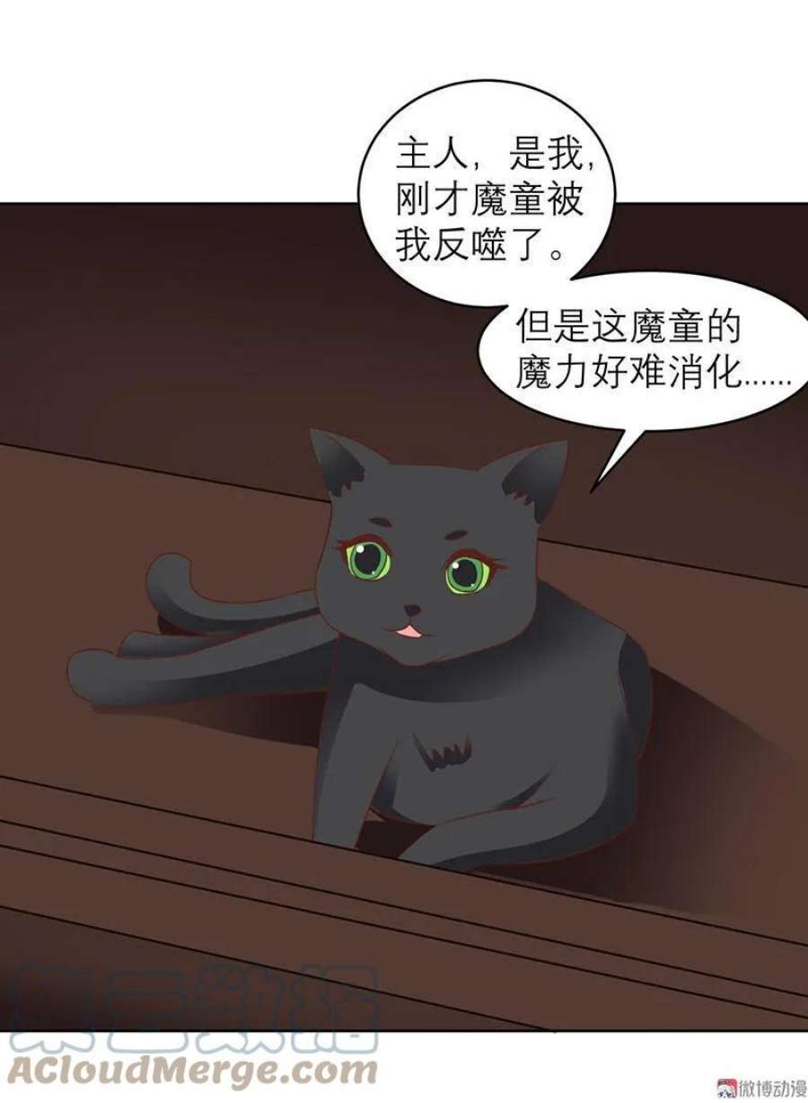 27.jpg