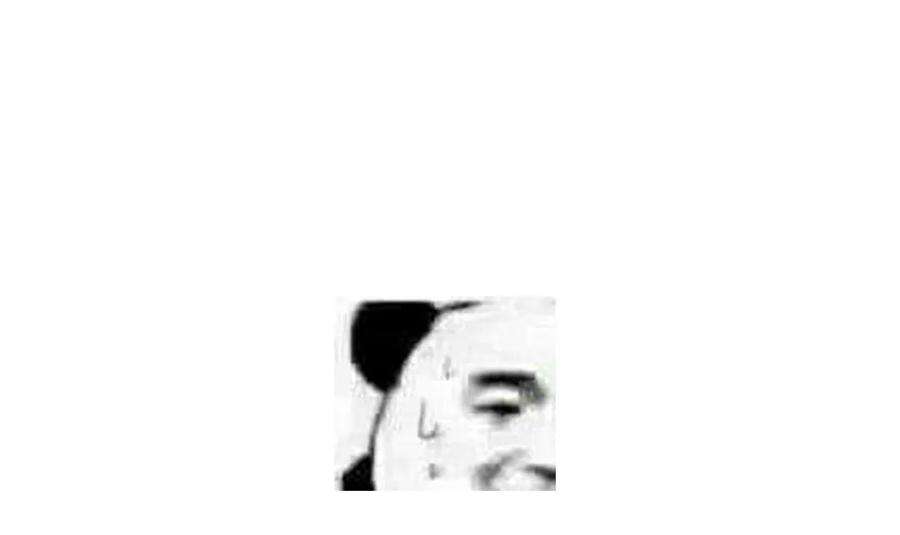 33.jpg