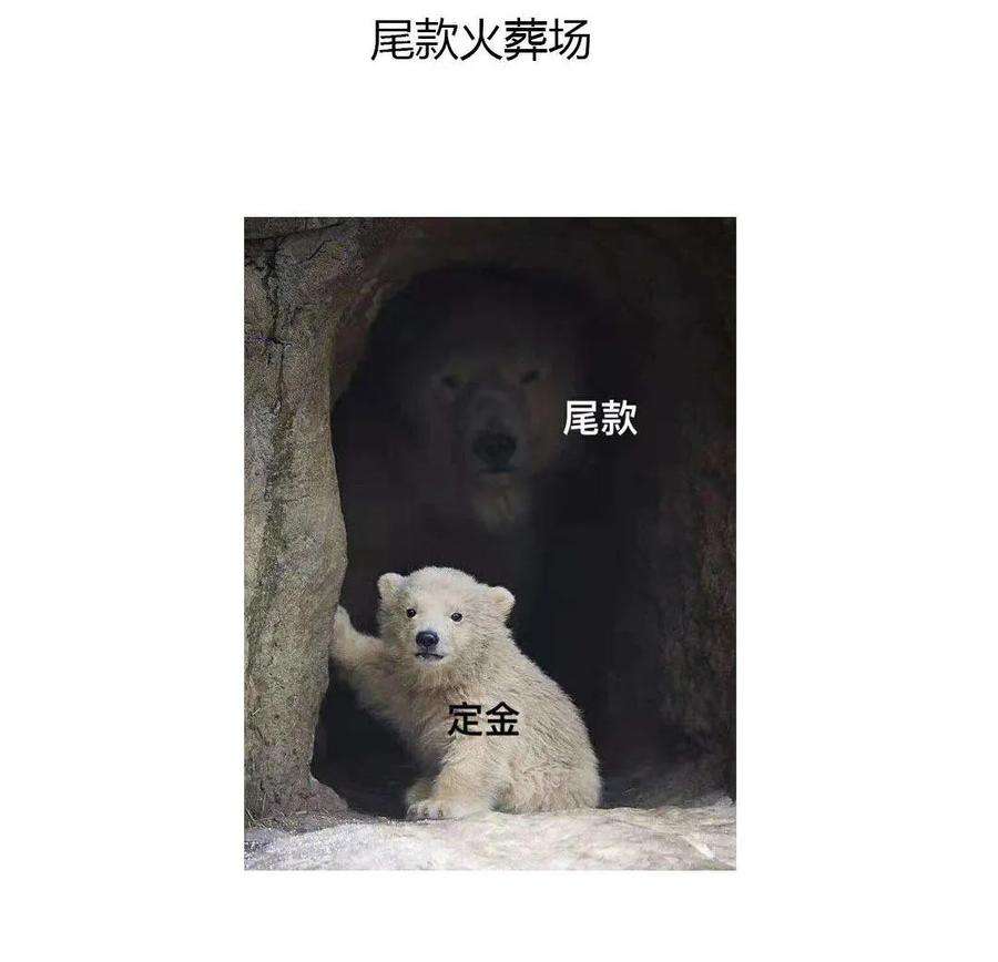41.jpg