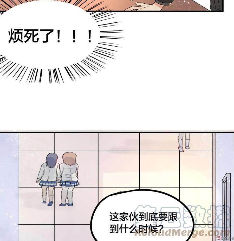 43.jpg