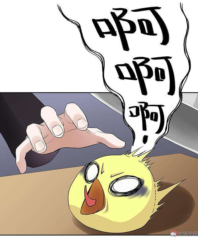 74.jpg