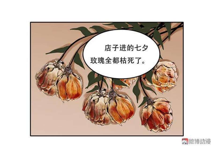 32.jpg