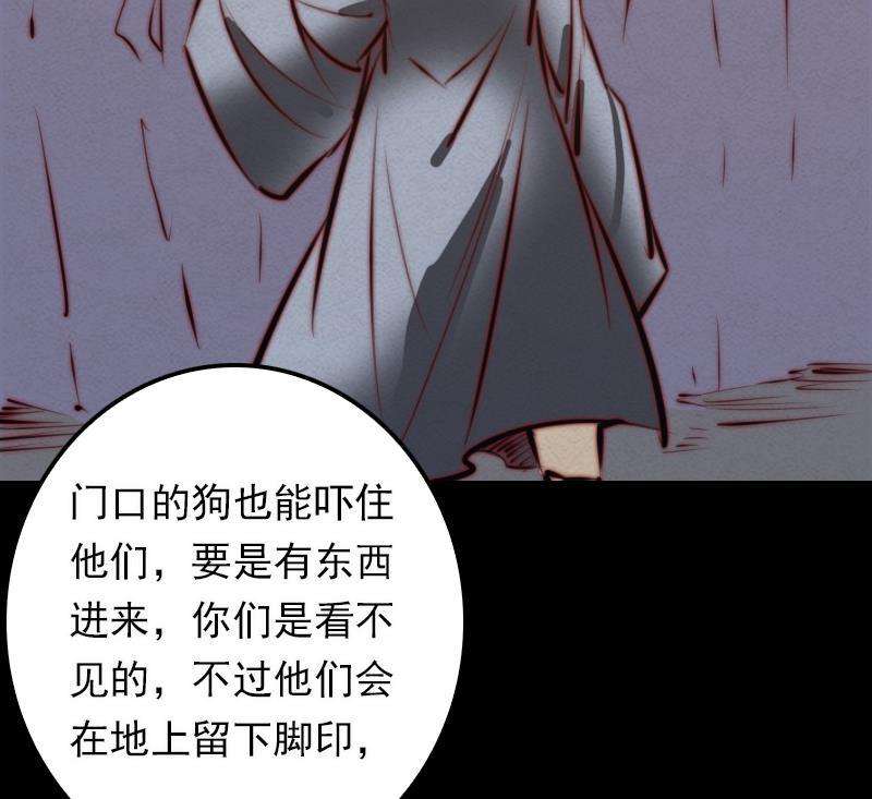48.jpg